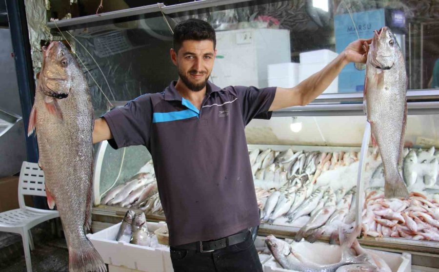 Akdeniz’de De Sezonun Açılmasıyla Tezgahlar Balıkla Doldu