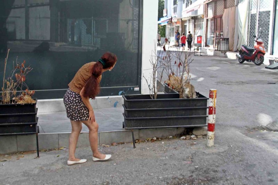 Annesini Rehin Aldı, Özel Harekatın Nefes Kesen Operasyonuyla Yakalandı