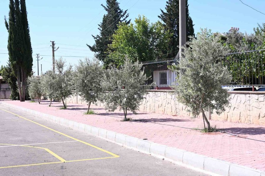 Beşkonaklılar Mahallesi’ne Asm, Kapalı Pazar Ve Kütüphane Yapılacak