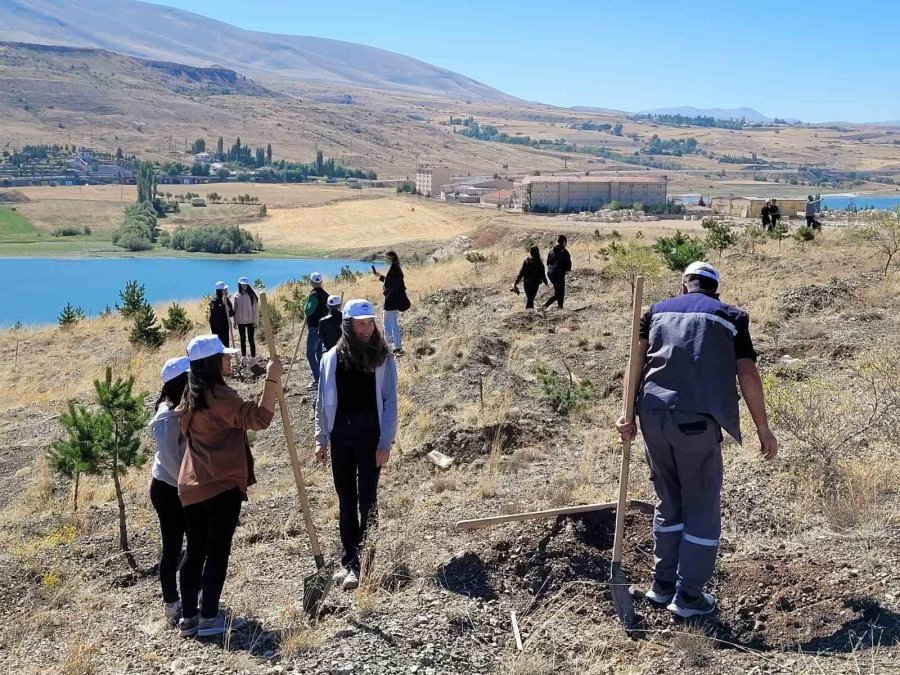 Kayseri Büyükşehir, Türkiye Yüzyılı Vizyonu İle Kent Ormanları Oluşturuyor