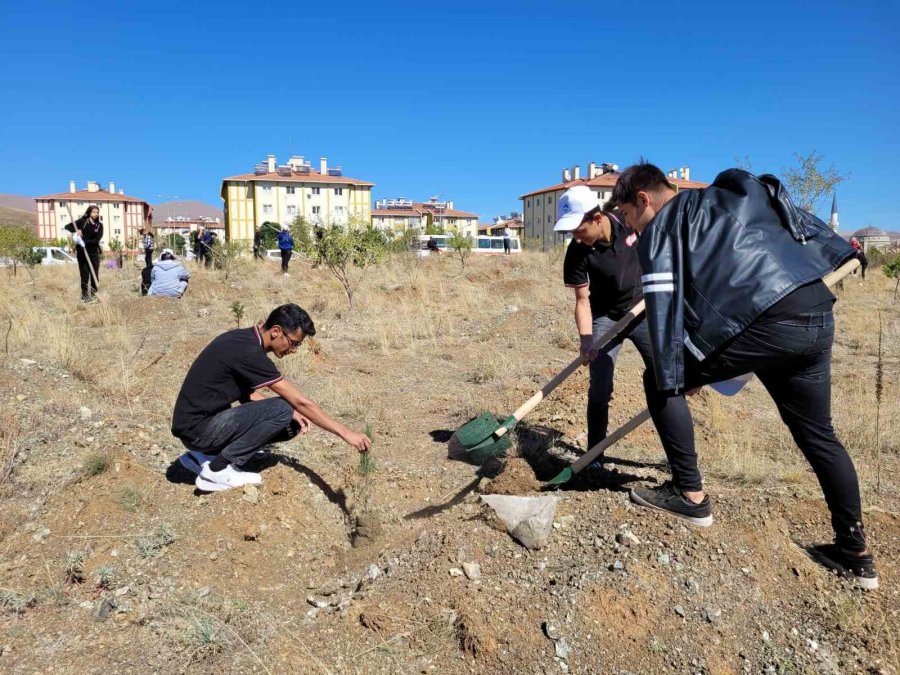 Kayseri Büyükşehir, Türkiye Yüzyılı Vizyonu İle Kent Ormanları Oluşturuyor