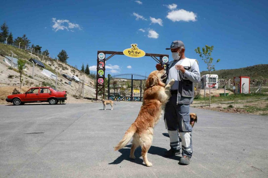 Can Dostların Huzurlu Yuvası: Talas Pati Evi