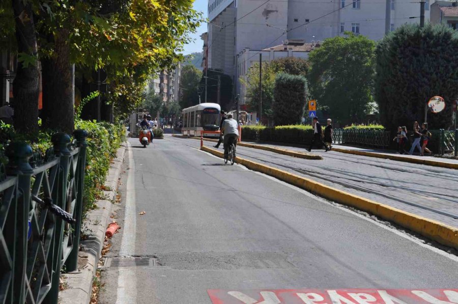 Trafiğin Ters Yönünden Giderek Canını Tehlikeye Attı