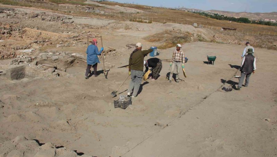 Bu Buğday Taneleri Tarihe Işık Tutacak