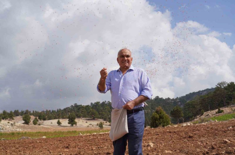 Mersin Erdemli’nin Süper Başkanı, Üretimden Eğitime Her Projesiyle Artı Değer Kattı