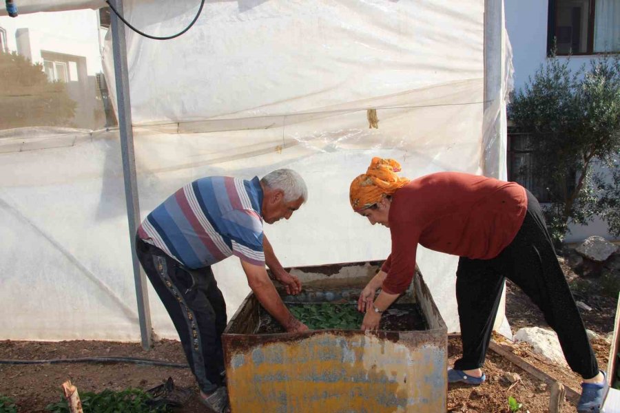 45 Bin Dekar Alanda 130 Milyon Fidan Toprakla Buluştu