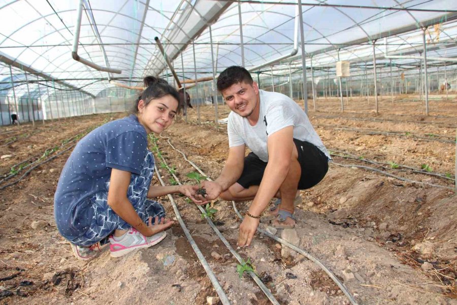 45 Bin Dekar Alanda 130 Milyon Fidan Toprakla Buluştu