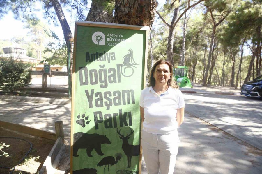 Antalya Doğal Yaşam Parkı’nda Hayvanlar İçin Tırnak Bakımı