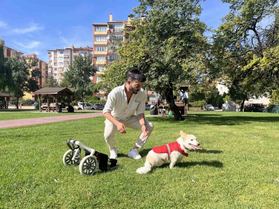 Köpeği Felç Kaldıktan Sonra Müslüman Oldu