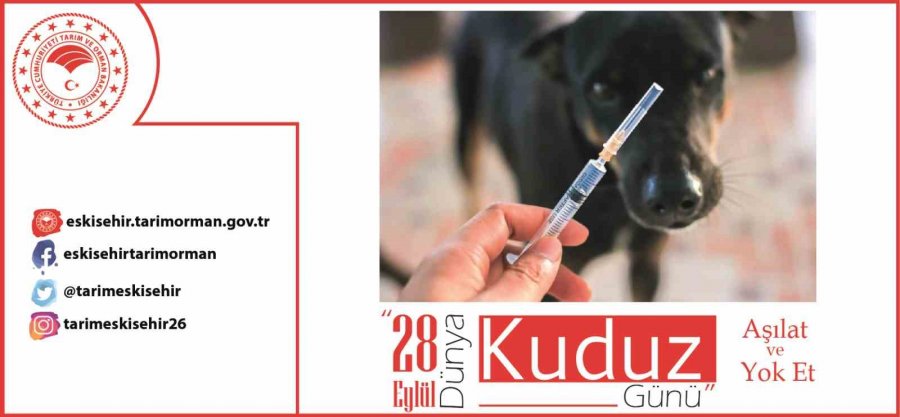 Kuduz Hastalığına Karşı Eskişehir’de 11 Bin Kedi Ve Köpek Aşılandı