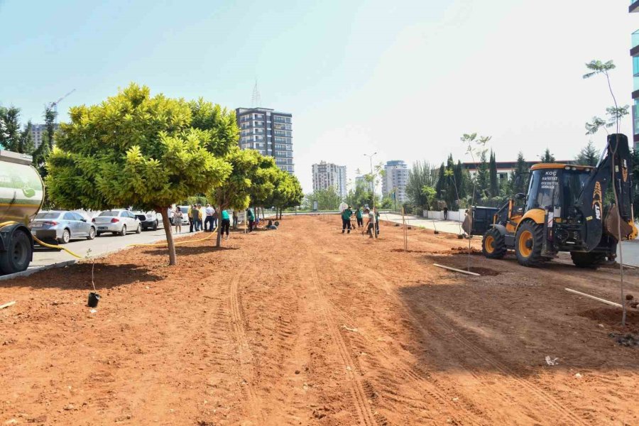 Başkan Özyiğit: “bir Metre Asfalt Yapıyorsak Onun Yerine De Beş Ağaç Dikmeliyiz”