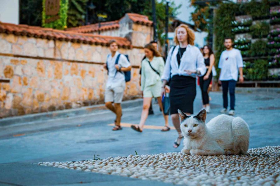 Günün Her Saati Farklı Manzara Sunuyor, Turistleri Kendine Hayran Bırakıyor