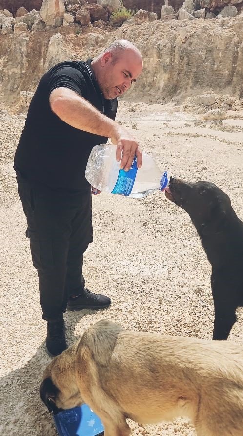 Otomobilindeki 5 Litre Suyu Köpeklere Elleriyle İçirdi, Duygusal Anlar Yaşandı