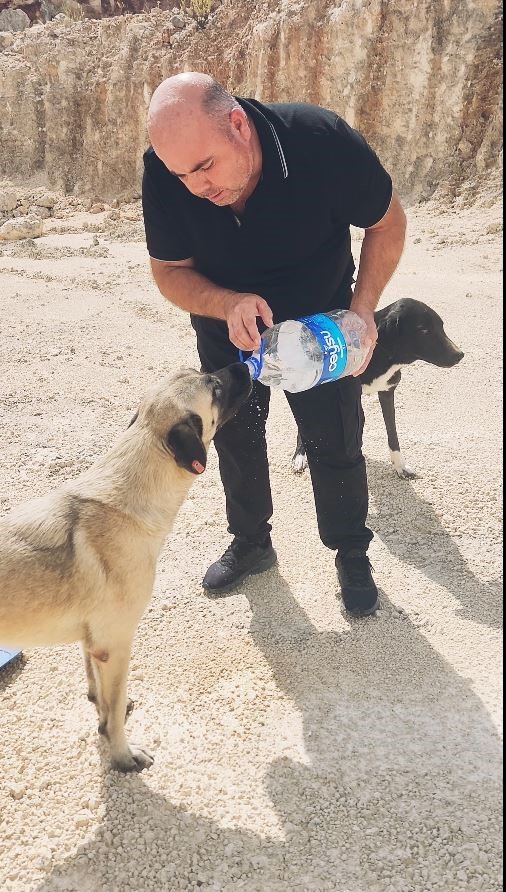 Otomobilindeki 5 Litre Suyu Köpeklere Elleriyle İçirdi, Duygusal Anlar Yaşandı