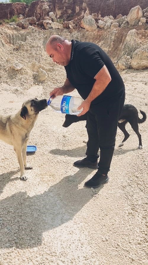 Otomobilindeki 5 Litre Suyu Köpeklere Elleriyle İçirdi, Duygusal Anlar Yaşandı