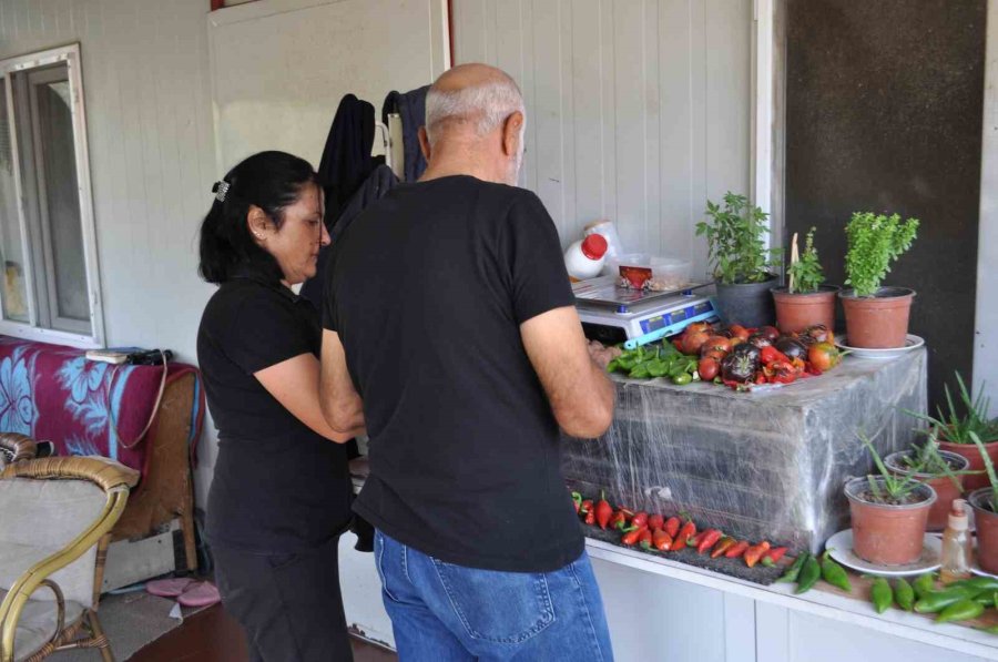 Bahçe İçinde Kurdukları Konteynerde Yaşayıp, Ürettikleri Meyve Ve Sebzeleri Satmak Yerine Takas Yapıyorlar