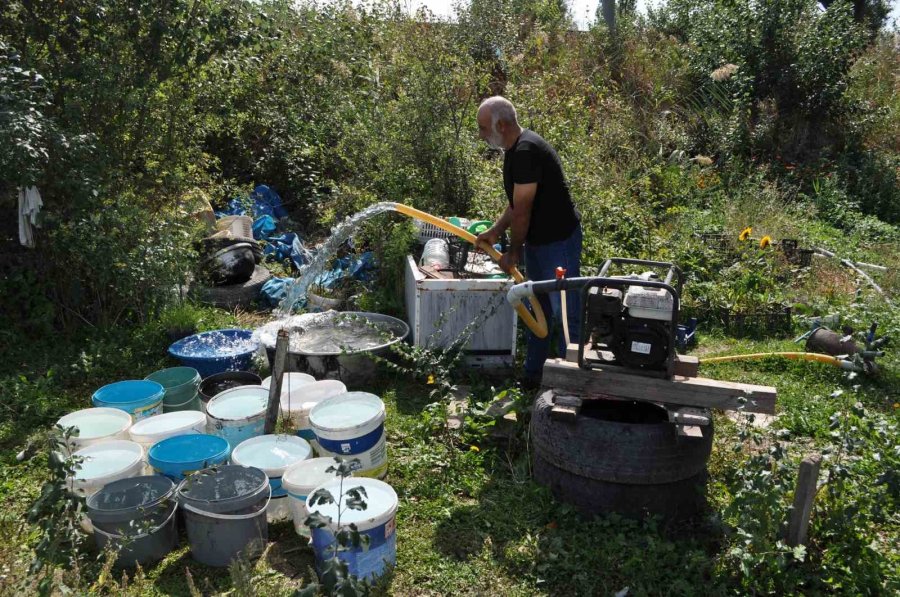 Bahçe İçinde Kurdukları Konteynerde Yaşayıp, Ürettikleri Meyve Ve Sebzeleri Satmak Yerine Takas Yapıyorlar