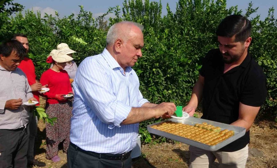 Limonun Başkentinde ’hasat’ Dönemi, 10 Çeşidi Üretiliyor