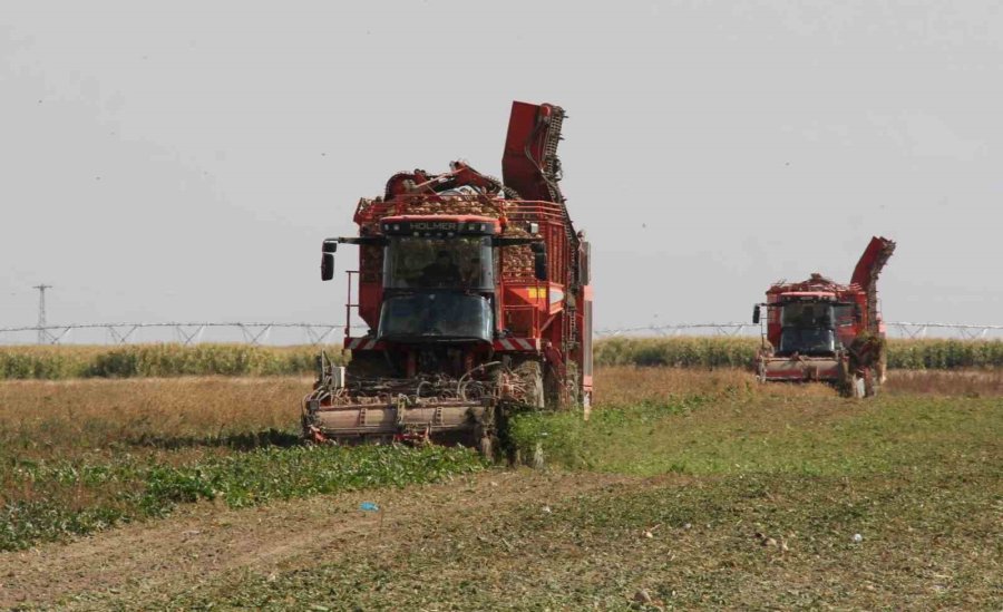 Konya Şeker’den 180 Milyon 281 Bin Tl Pancar Söküm Avansı