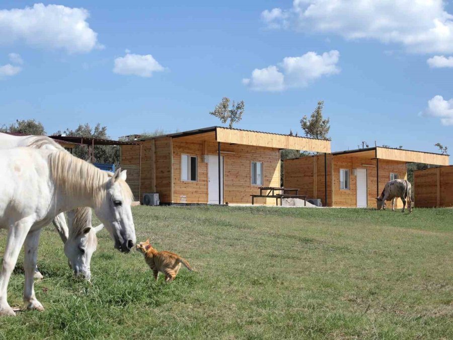 Mutlu Yaşam Köyü Konaklama Kapasitesini Artırdı