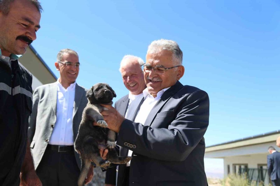 Başkan Büyükkılıç, Yeni Ve Modern Kedi Köpek Evi’nde İncelemelerde Bulundu