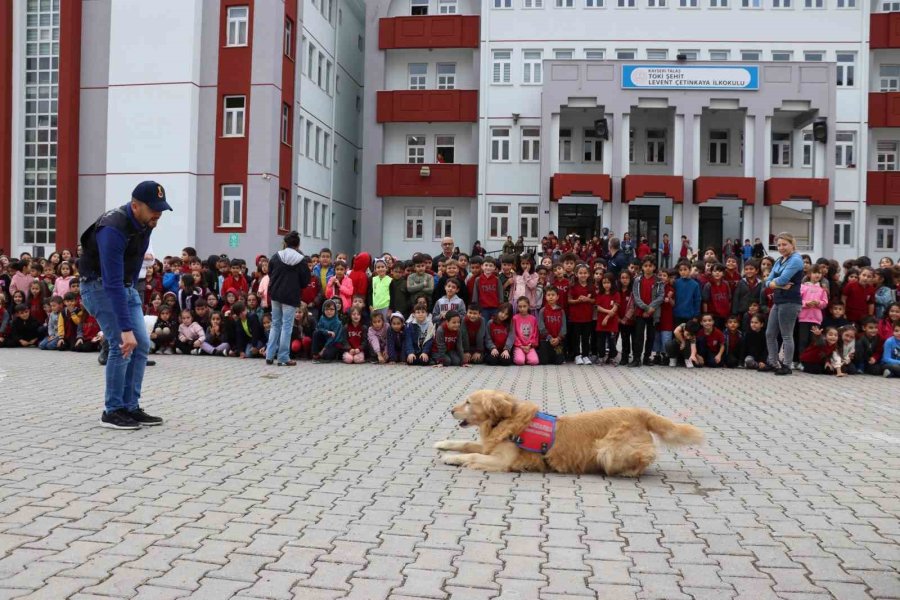 Jandarmadan Öğrencilere ‘hayvan Hakları’ Ve ‘trafik’ Eğitimi