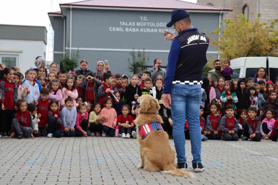 Jandarmadan Öğrencilere ‘hayvan Hakları’ Ve ‘trafik’ Eğitimi