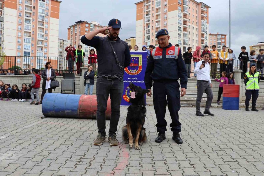 Jandarmadan Öğrencilere ‘hayvan Hakları’ Ve ‘trafik’ Eğitimi