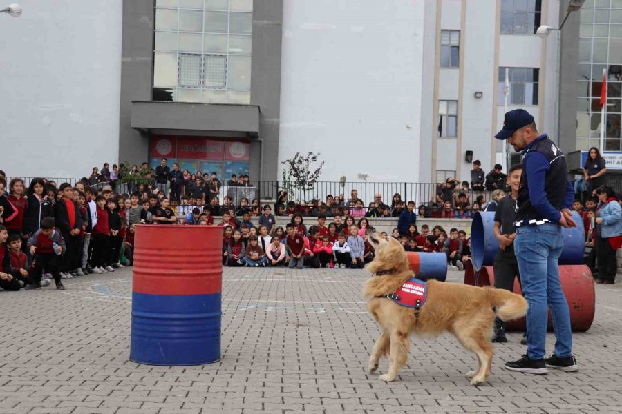 Jandarmadan Öğrencilere ‘hayvan Hakları’ Ve ‘trafik’ Eğitimi