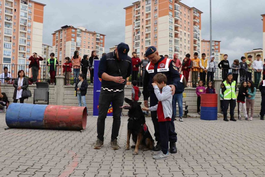 Jandarmadan Öğrencilere ‘hayvan Hakları’ Ve ‘trafik’ Eğitimi