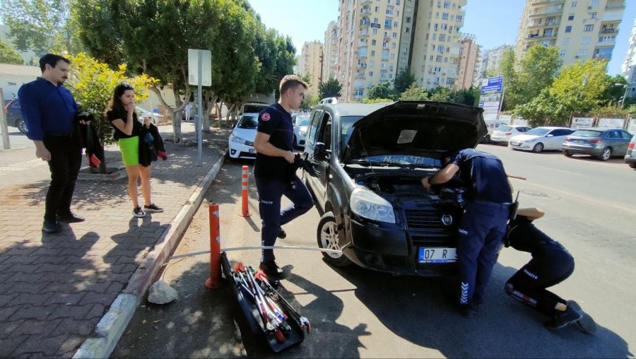 Yavru Kediyi Kadın İtfaiyeci Kurtardı, Avukat Yardımına Koştu