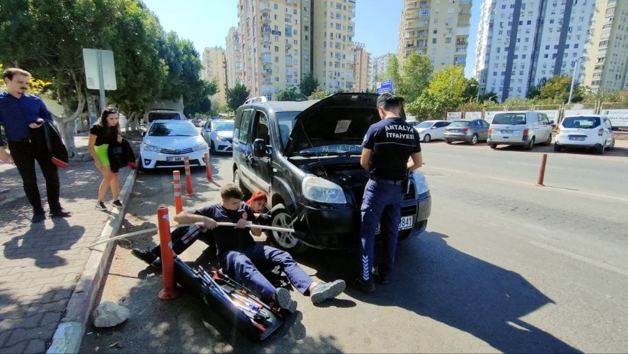 Yavru Kediyi Kadın İtfaiyeci Kurtardı, Avukat Yardımına Koştu