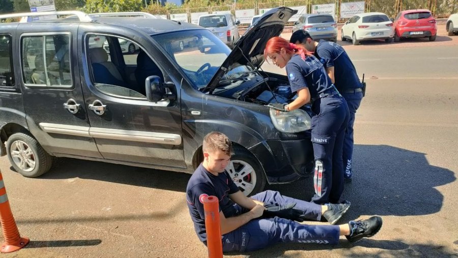 Yavru Kediyi Kadın İtfaiyeci Kurtardı, Avukat Yardımına Koştu