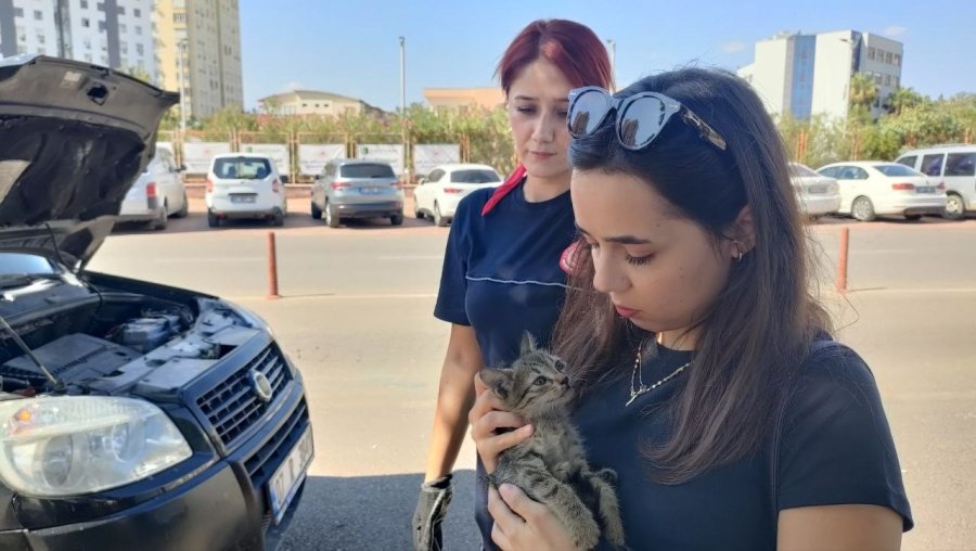 Yavru Kediyi Kadın İtfaiyeci Kurtardı, Avukat Yardımına Koştu