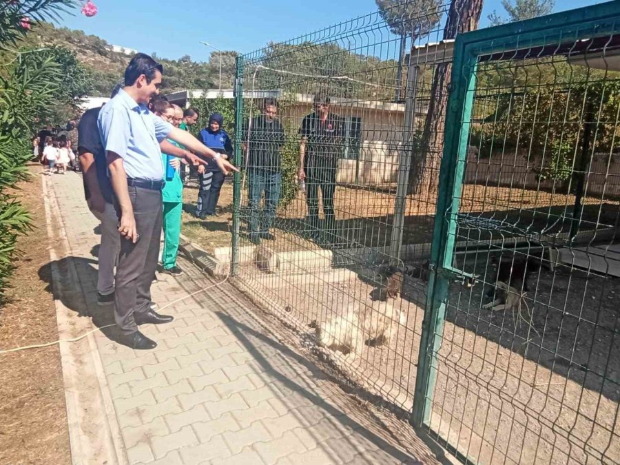 Topsakaloğlu: "hayvanları Koruma Bilinci, Toplumsal Duyarlılık Ve Empati İle Şekillenir"