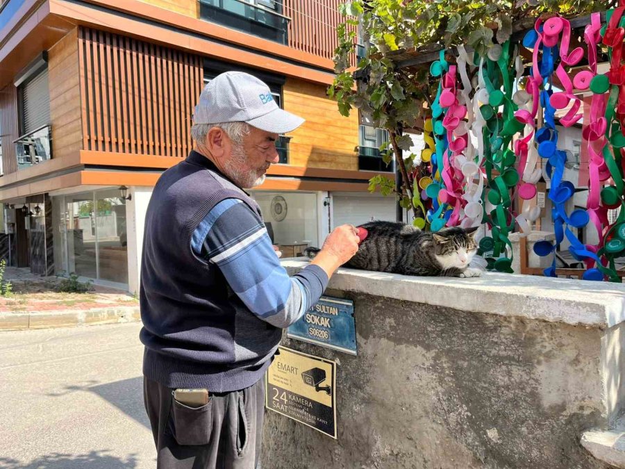 Hayvana Şiddet Videosuna Yorum Yaptı, Başına Olmadık Olay Geldi