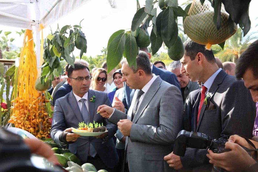 2 Kilo 94 Gramlık Mango Üreticisine 10 Bin Tl Kazandırdı