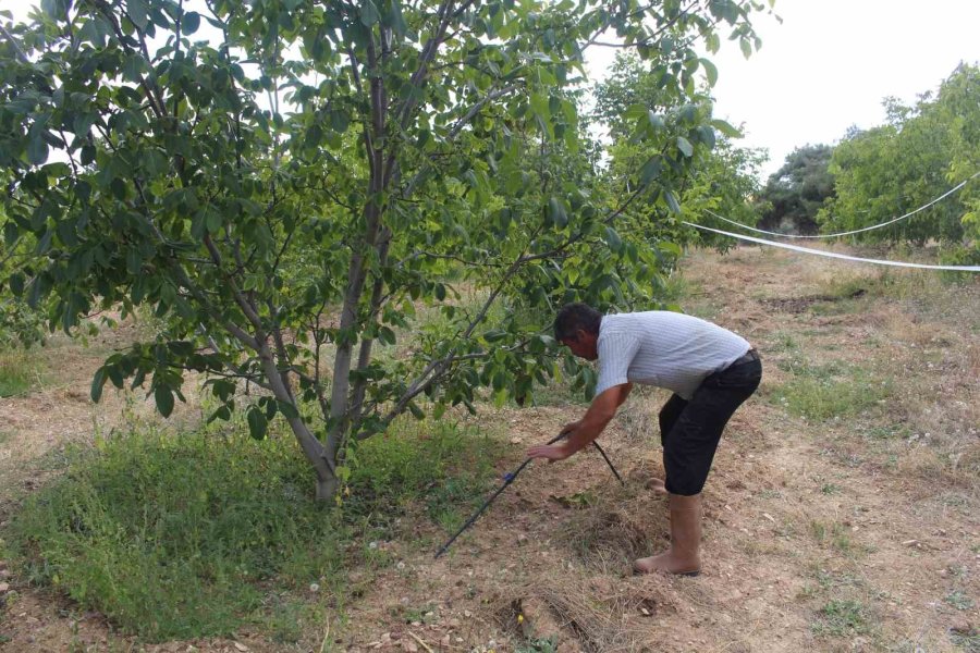 Büyükşehir’den Korkuteli Yukarıkaraman Mahallesi’ne Kapalı Devre Sulama Sistemi