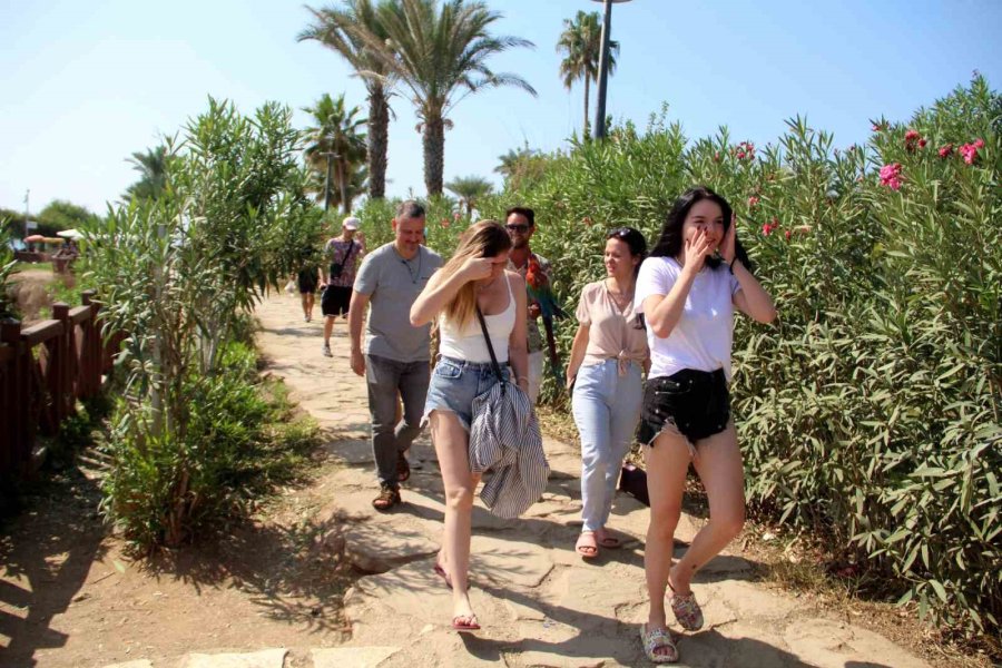 Antalya’nın Dünyaca Ünlü Şelalesinin Sonbahar Manzarası Mest Etti