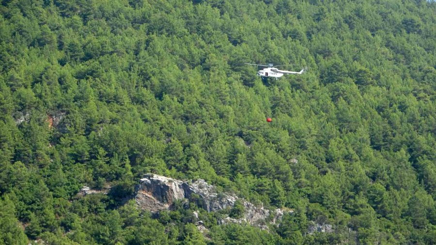 Alanya’da Çıkan Orman Yangını Büyümeden Kontrol Altına Alındı