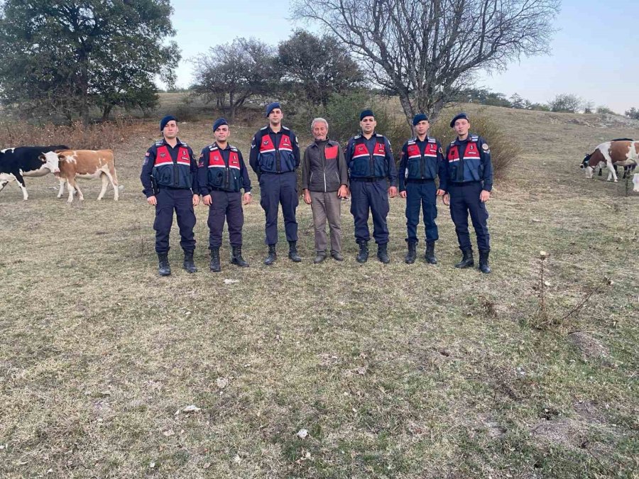 Kaybolan Büyükbaş Hayvanı Jandarma Buldu