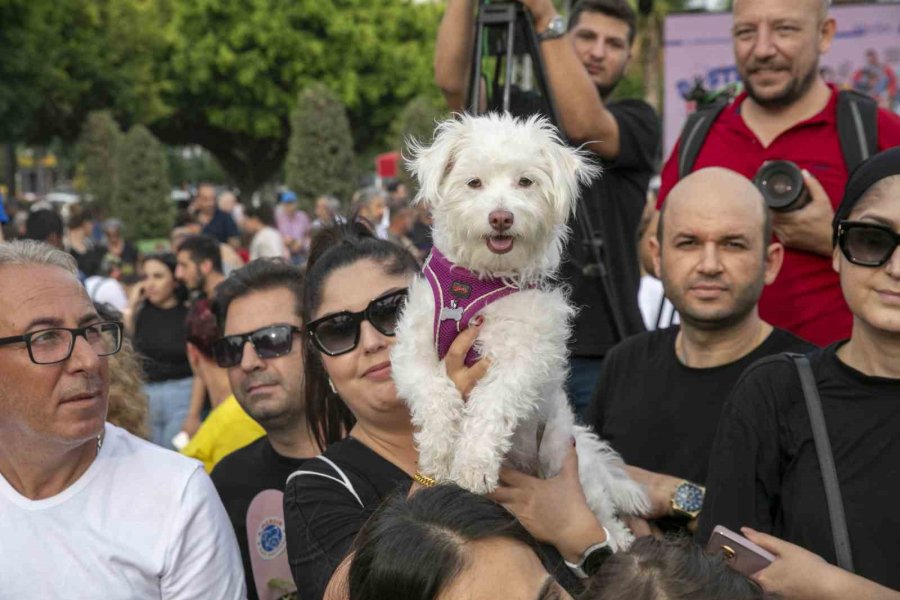 ‘mersin Pati Festivali’ Renkli Görüntülere Sahne Oldu