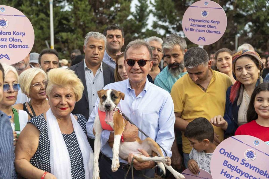 ‘mersin Pati Festivali’ Renkli Görüntülere Sahne Oldu