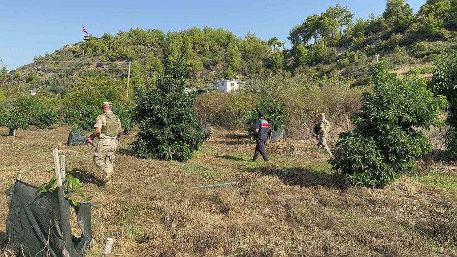 Antalya’da Tropikal Meyve Bahçeleri Komandolara Emanet