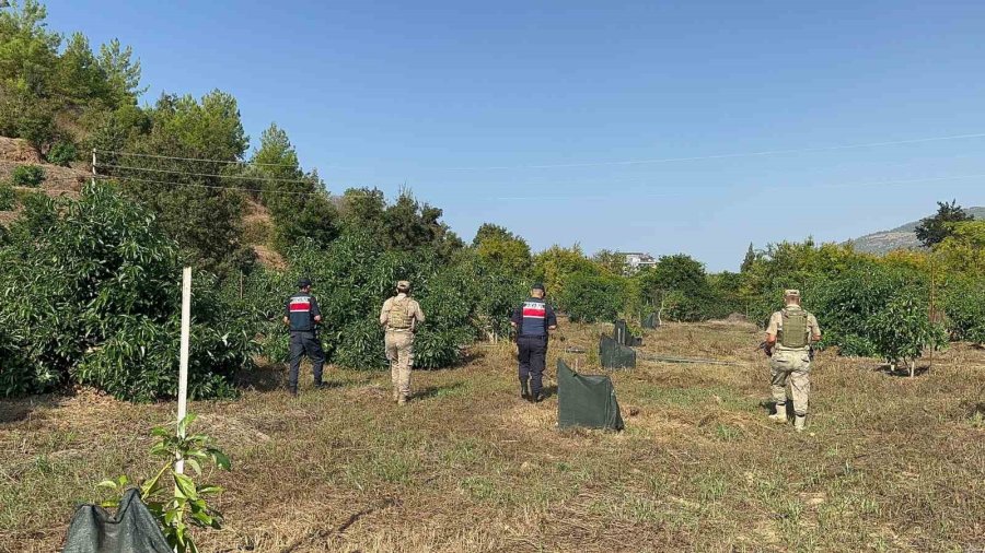 Antalya’da Tropikal Meyve Bahçeleri Komandolara Emanet