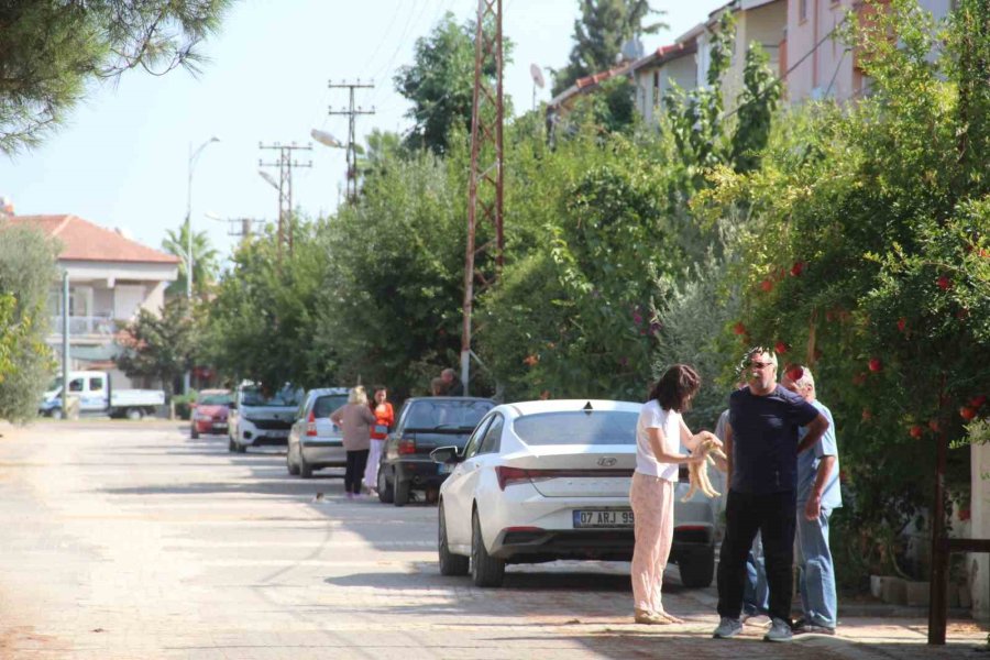 Ormanlık Alandaki Yangın Büyümeden Söndürüldü