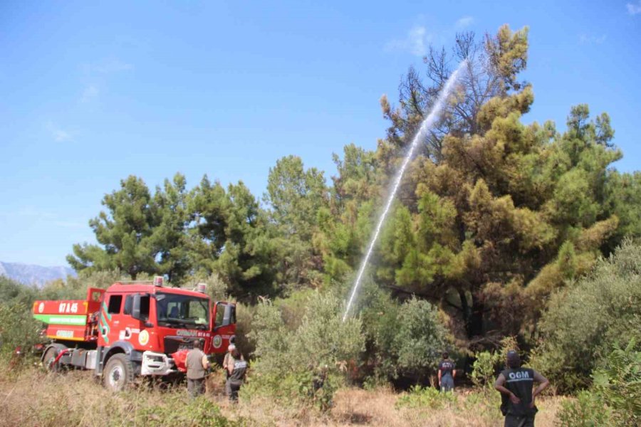 Ormanlık Alandaki Yangın Büyümeden Söndürüldü