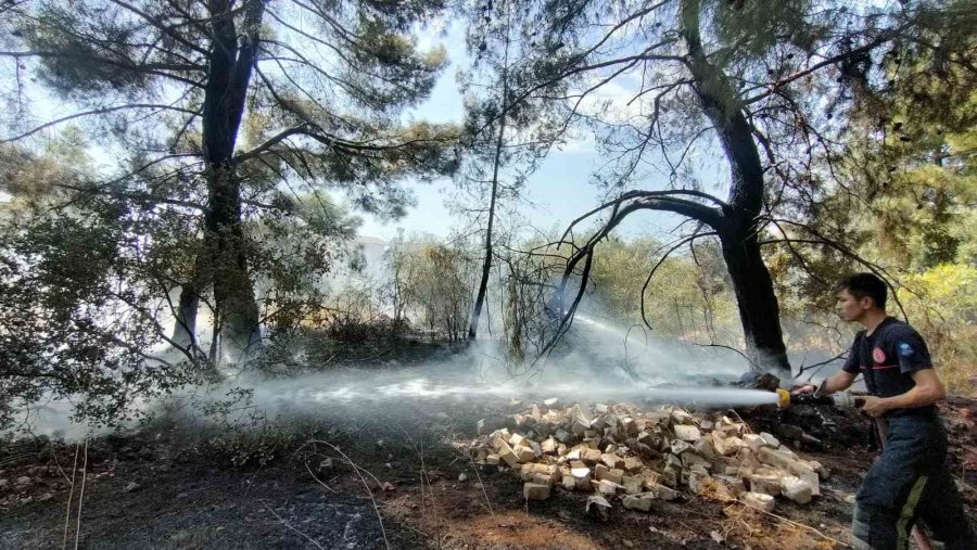 Ormanlık Alandaki Yangın Büyümeden Söndürüldü