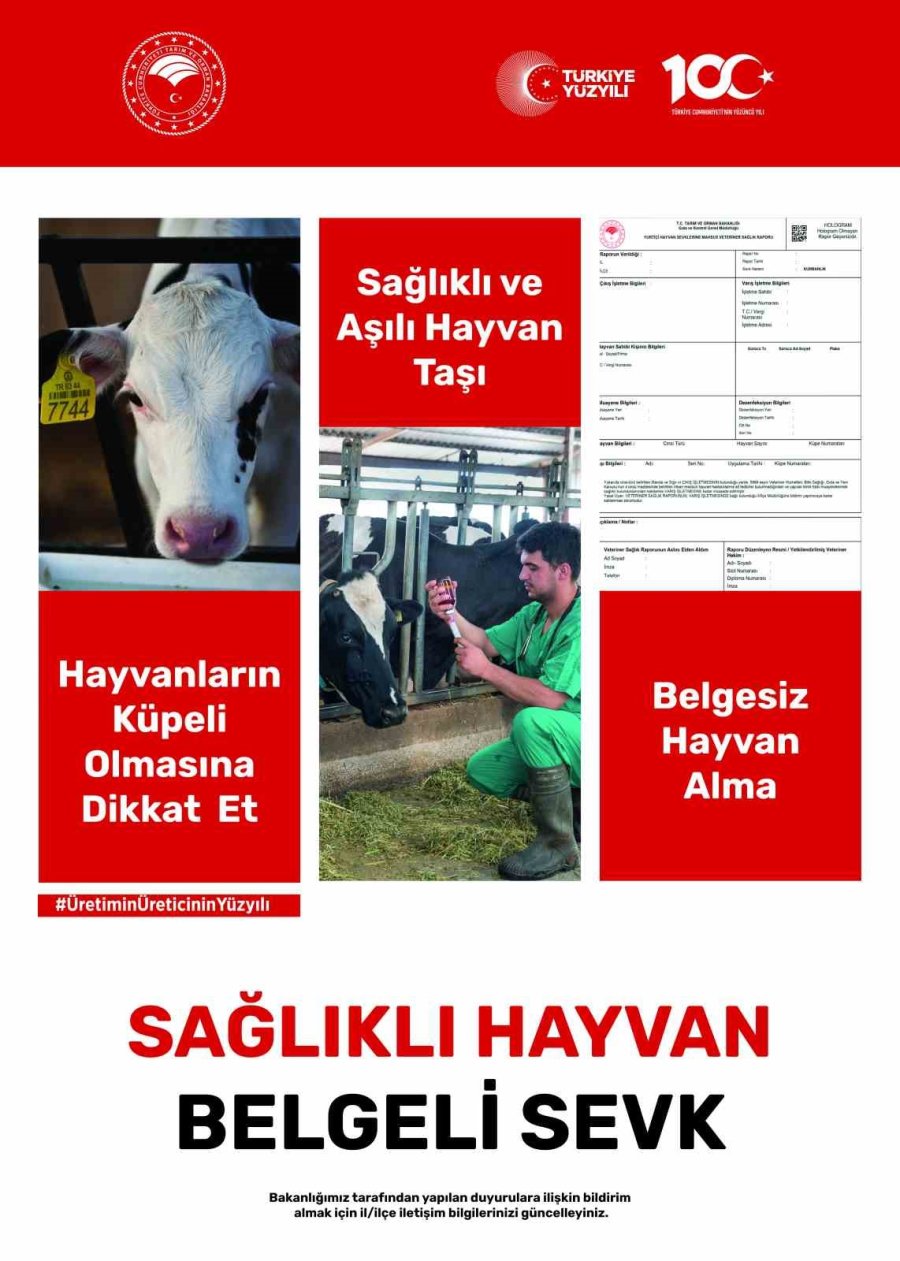 Hayvan Hareketleri Kontrol Altında