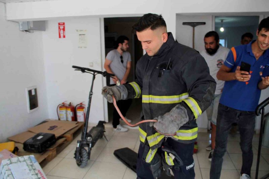 Kargo Şubesine Giren Yılan, İtfaiye Ekipleri Ve Çalışanlara Zor Anlar Yaşattı